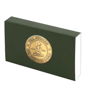 SOLSTICKAN Tändstickor Grön 